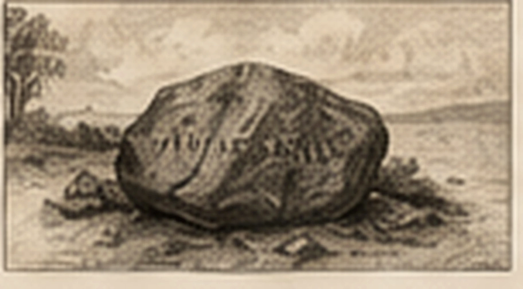 Vintage-style illustration of Plymouth Rock